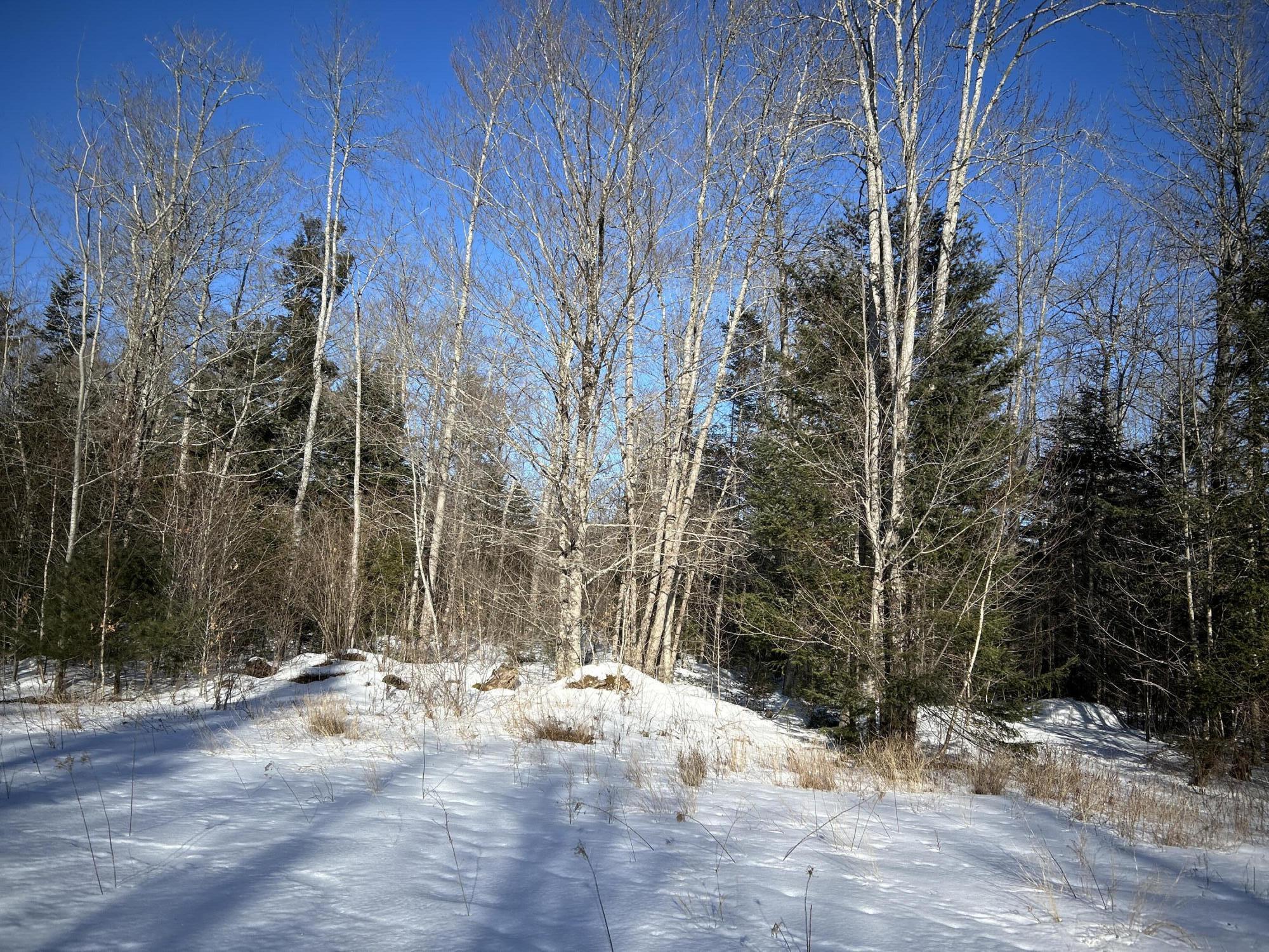 L31 Nelson Ridge Road North Washington, ME 04574 - Photo 12 of 52 21