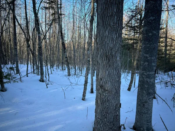 $375,000 | L31 Nelson Ridge Road North, Washington, ME 04574