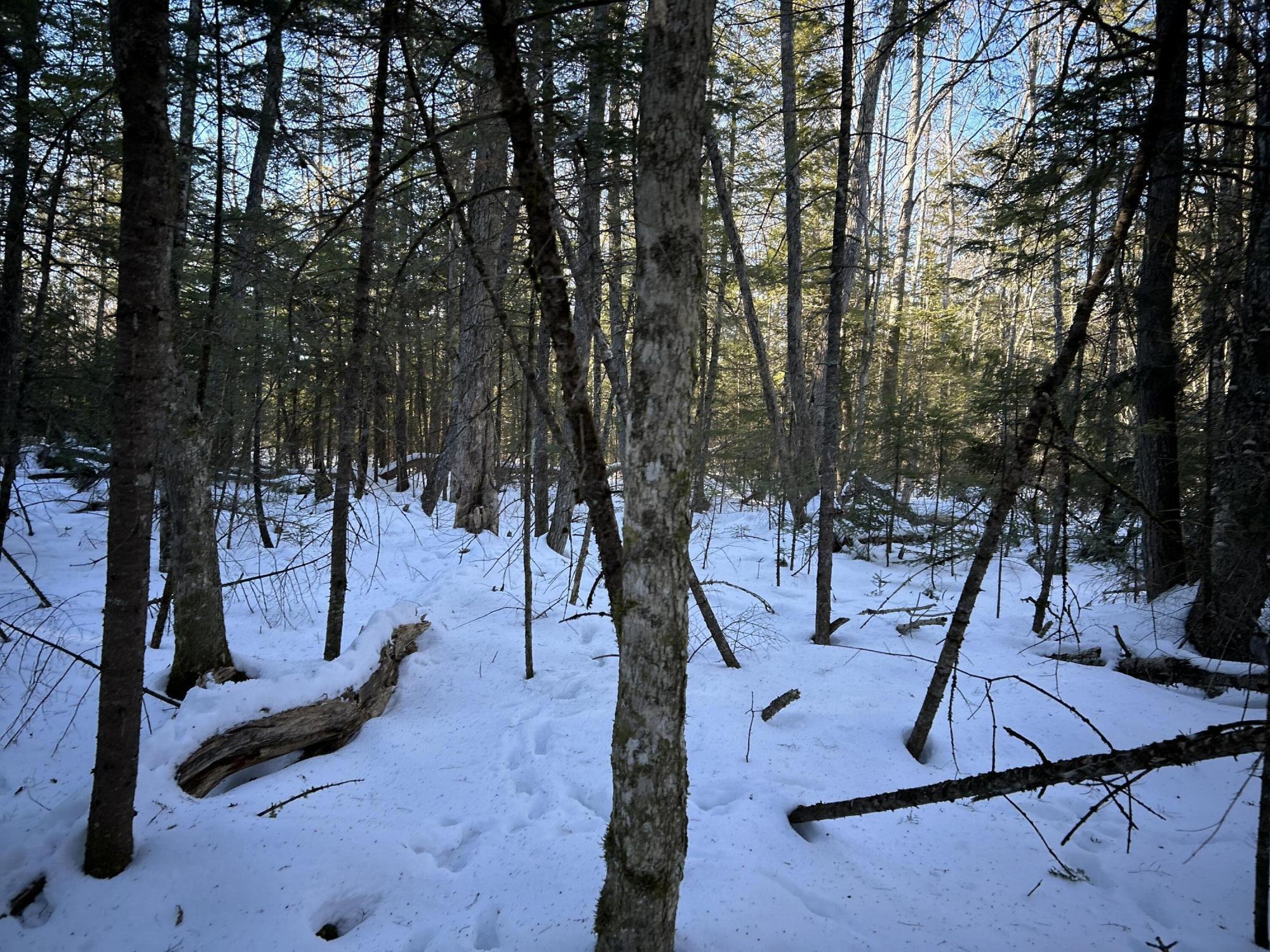 L31 Nelson Ridge Road North Washington, ME 04574 - Photo 18 of 52 IMG_6786