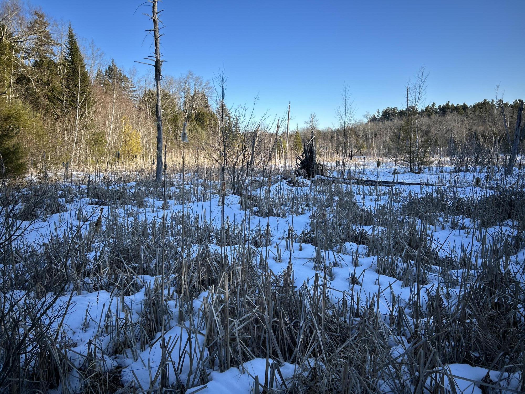 L31 Nelson Ridge Road North Washington, ME 04574 - Photo 21 of 52 IMG_6834