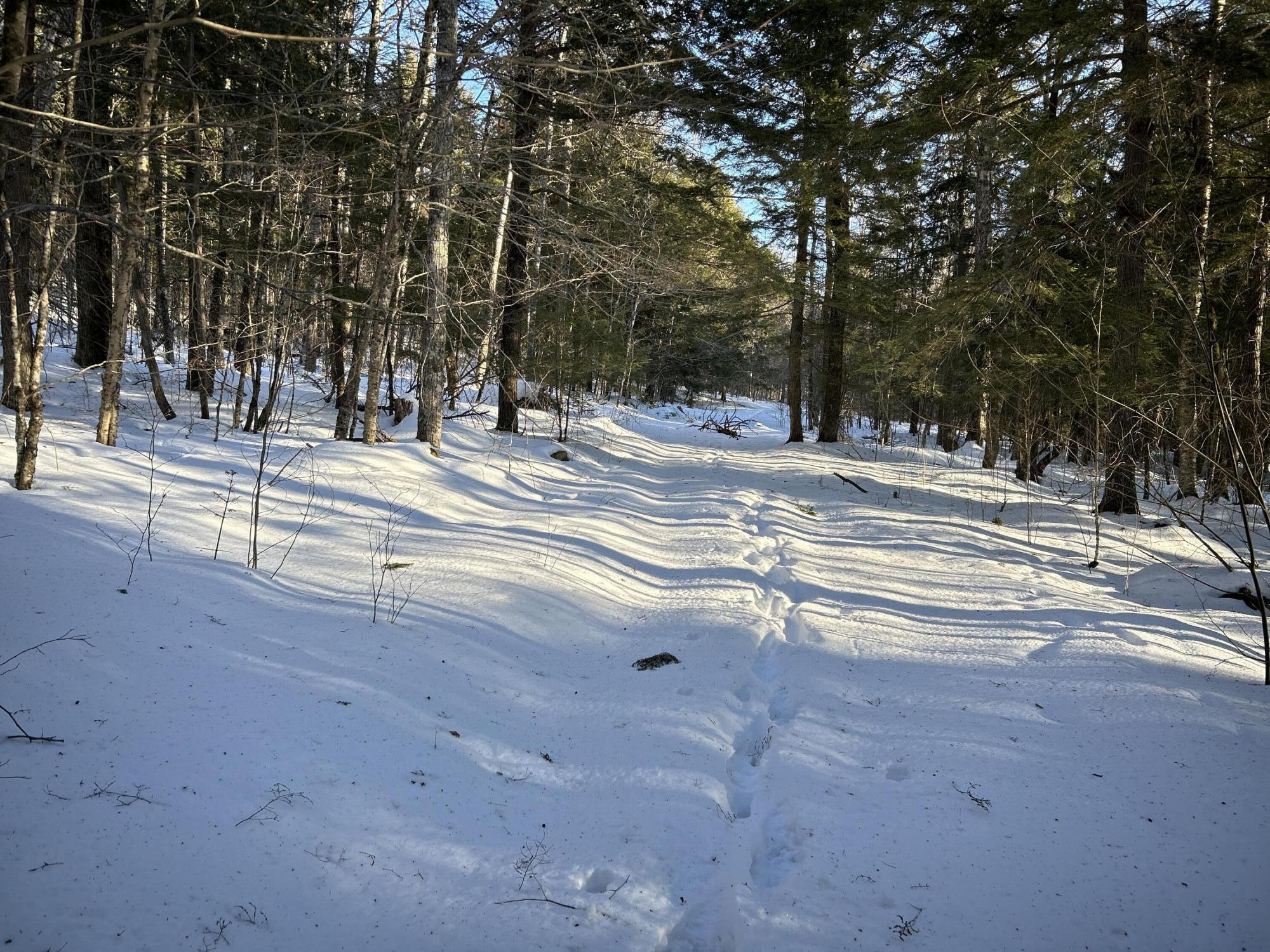 L31 Nelson Ridge Road North Washington, ME 04574 - Photo 22 of 52 IMG_6815