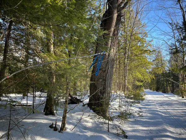 $375,000 | L31 Nelson Ridge Road North, Washington, ME 04574