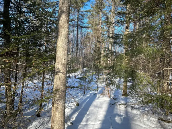 $375,000 | L31 Nelson Ridge Road North, Washington, ME 04574