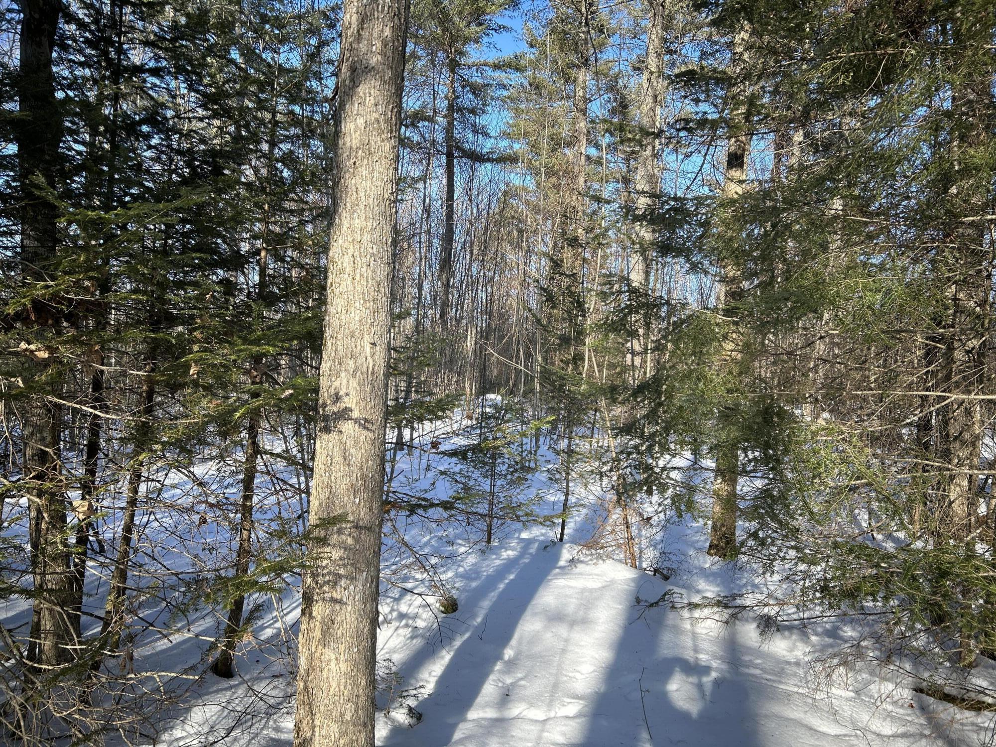 L31 Nelson Ridge Road North Washington, ME 04574 - Photo 26 of 52 33