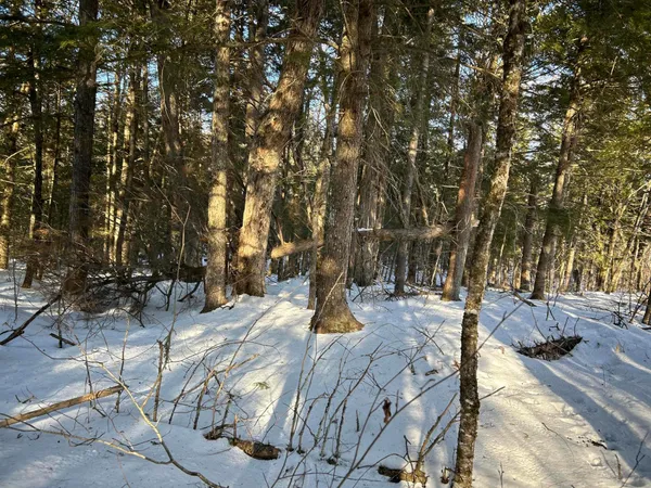 $375,000 | L31 Nelson Ridge Road North, Washington, ME 04574