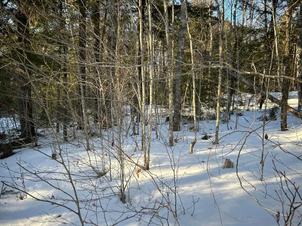 $375,000 | L31 Nelson Ridge Road North, Washington, ME 04574
