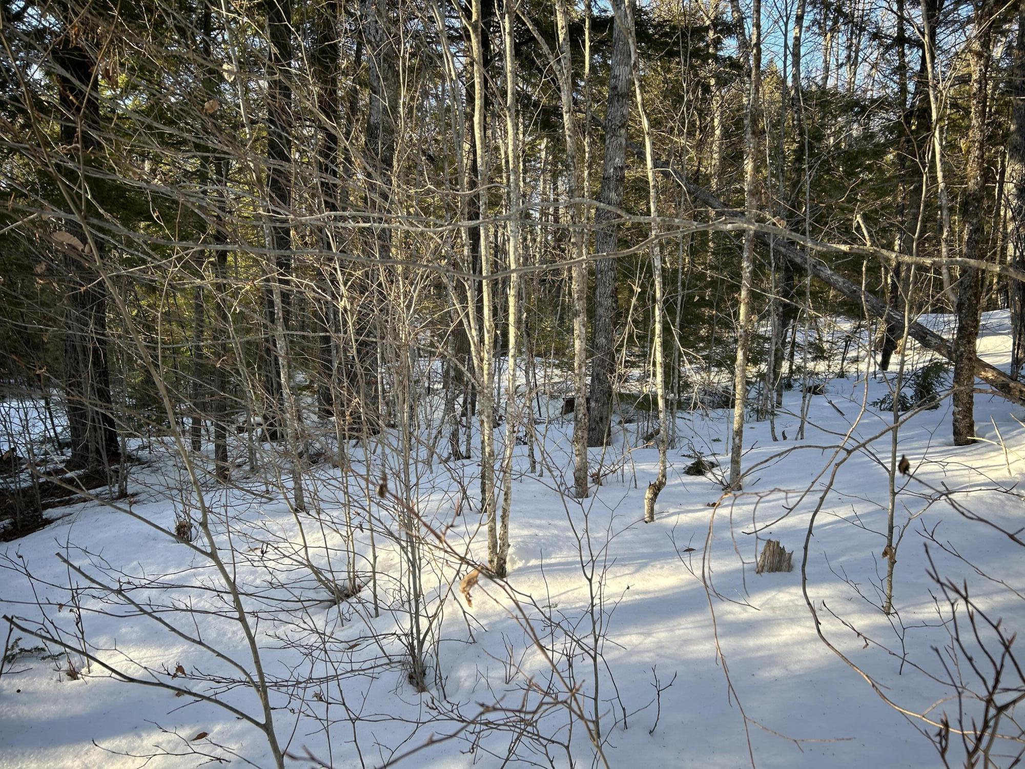 L31 Nelson Ridge Road North Washington, ME 04574 - Photo 28 of 52 IMG_6829