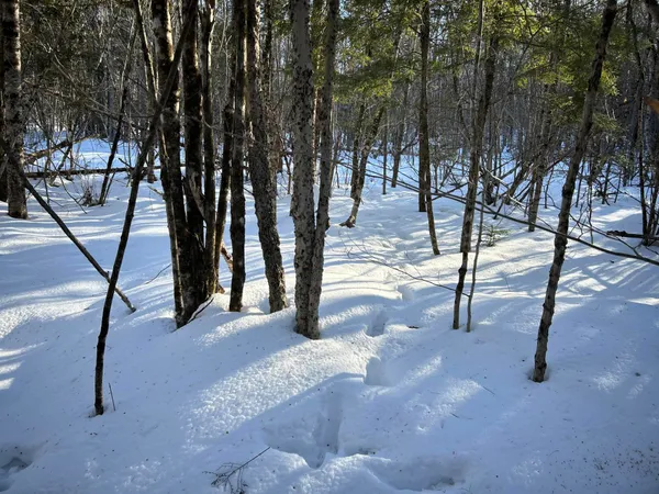 $375,000 | L31 Nelson Ridge Road North, Washington, ME 04574