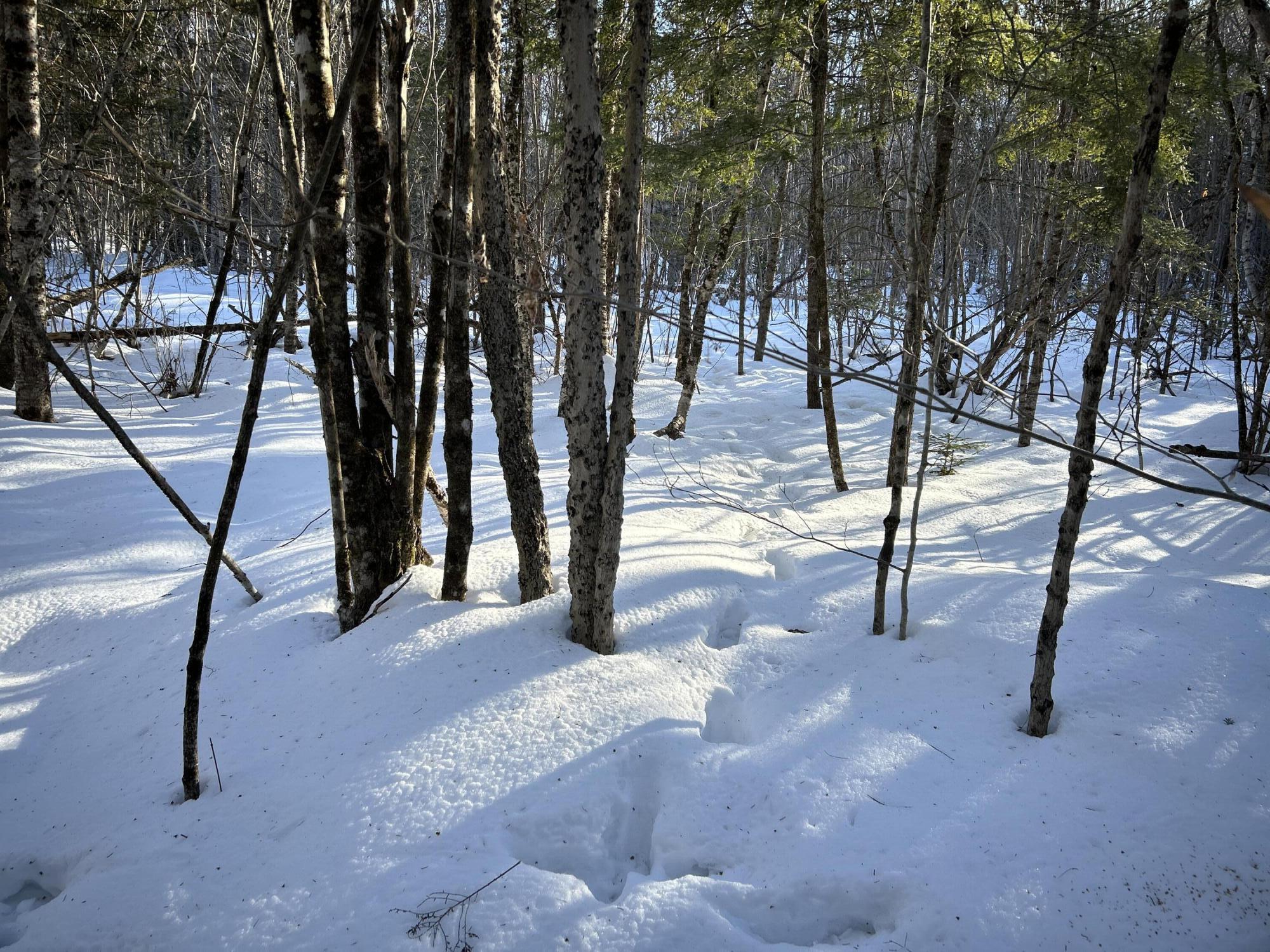 L31 Nelson Ridge Road North Washington, ME 04574 - Photo 30 of 52 27(1)