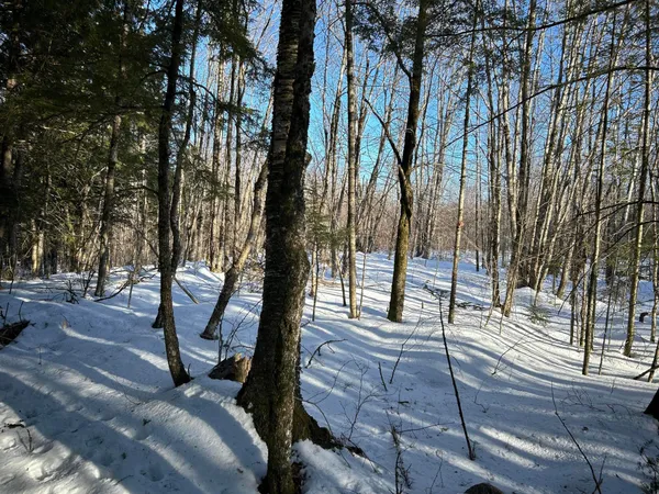 $375,000 | L31 Nelson Ridge Road North, Washington, ME 04574