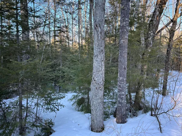 $375,000 | L31 Nelson Ridge Road North, Washington, ME 04574