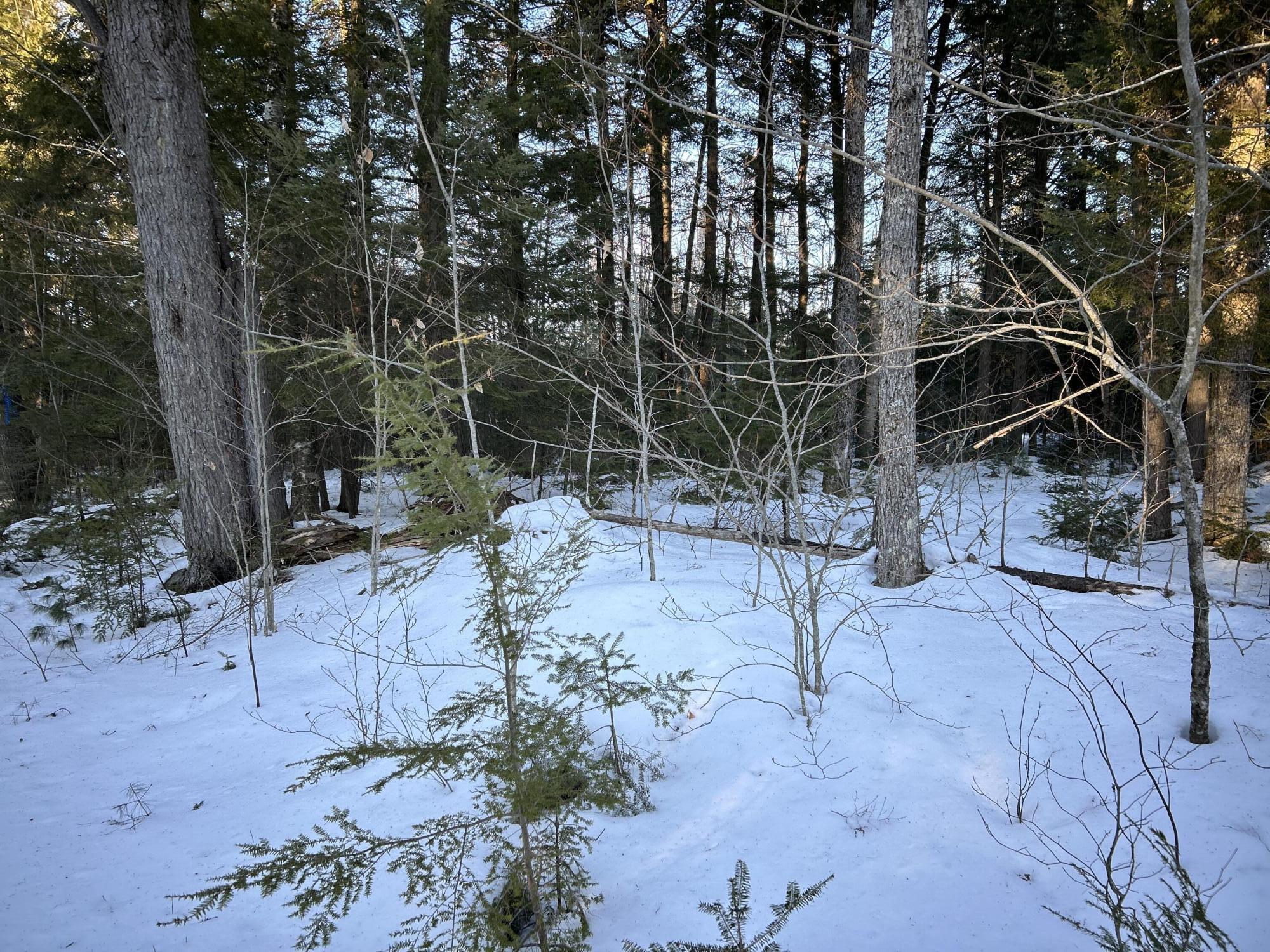 L31 Nelson Ridge Road North Washington, ME 04574 - Photo 34 of 52 IMG_6874