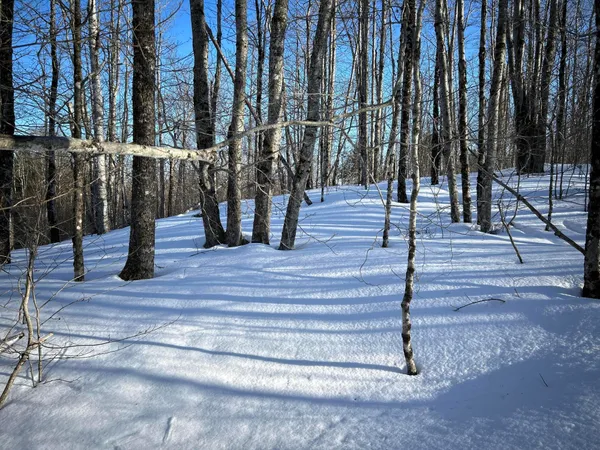 $375,000 | L31 Nelson Ridge Road North, Washington, ME 04574