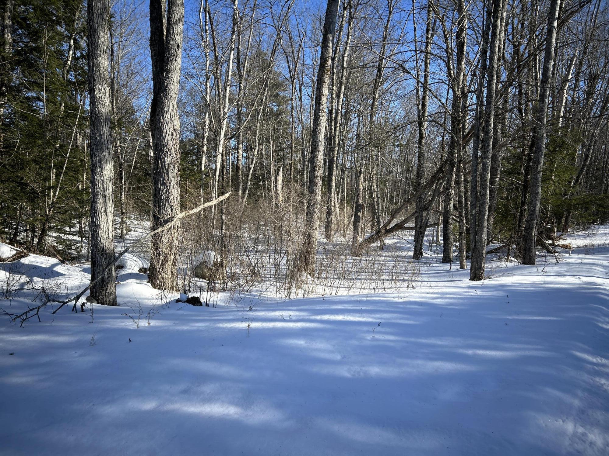 L31 Nelson Ridge Road North Washington, ME 04574 - Photo 47 of 52 17