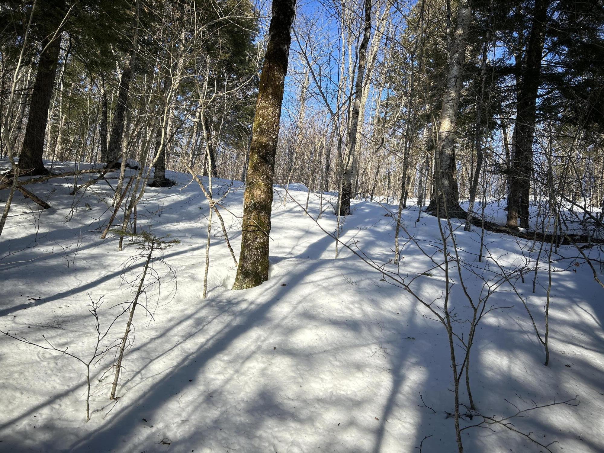 L31 Nelson Ridge Road North Washington, ME 04574 - Photo 48 of 52 IMG_6797