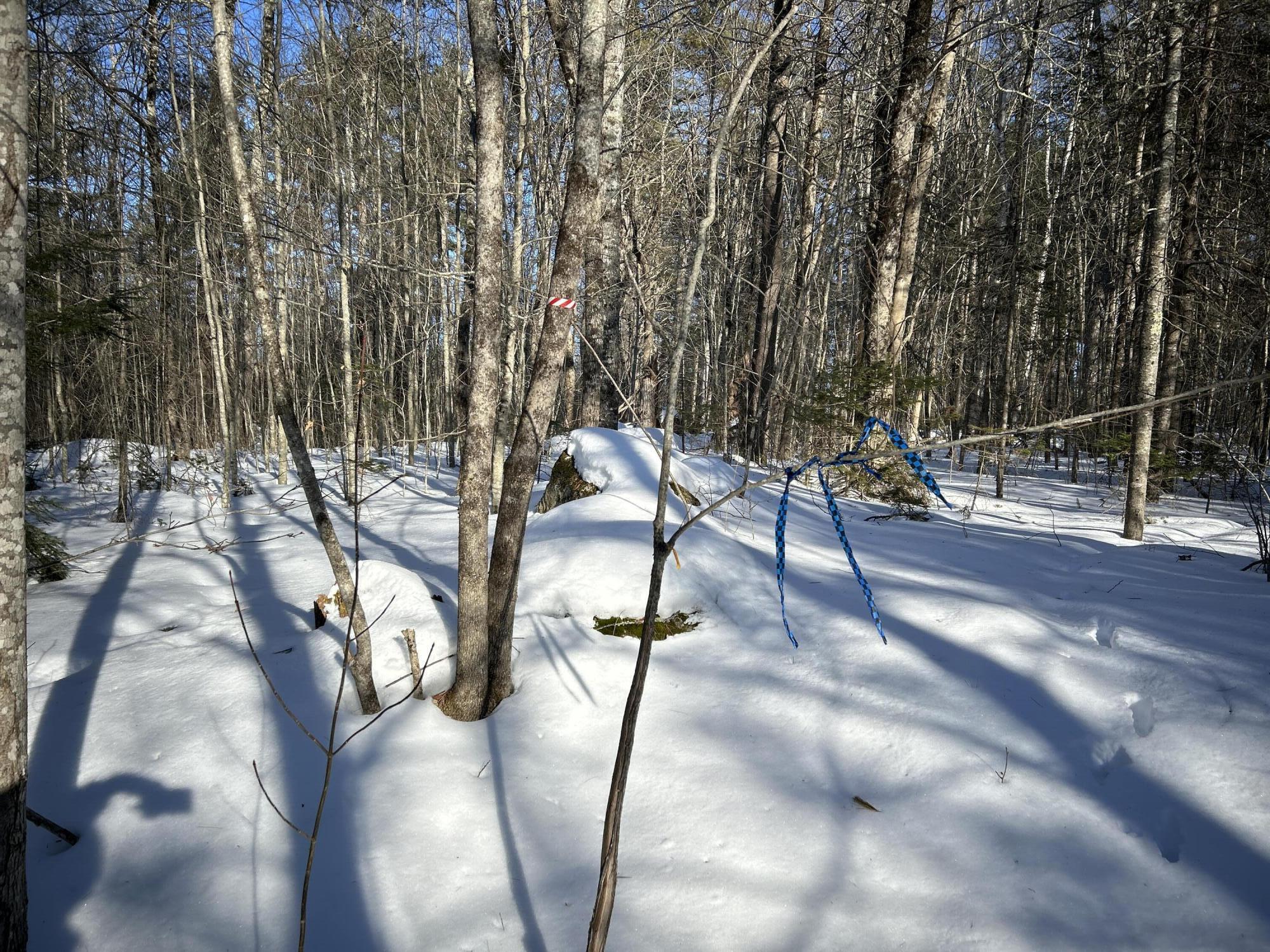 L31 Nelson Ridge Road North Washington, ME 04574 - Photo 49 of 52 43