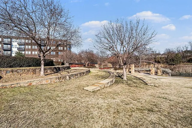 a view of park with large trees