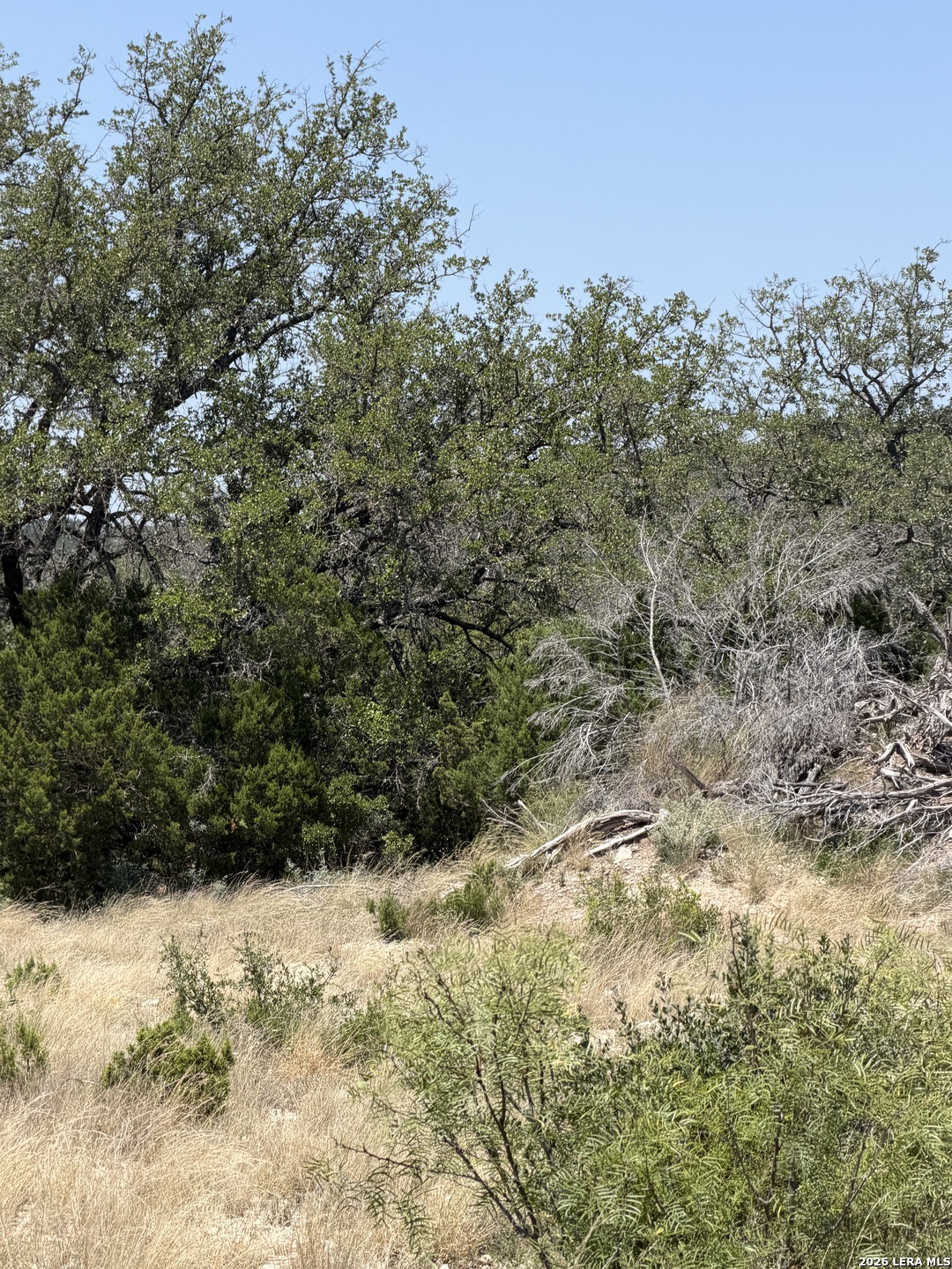 45425 SD 45425 Rocksprings, TX 78880 - Photo 25 of 43 Gallery Image 25
