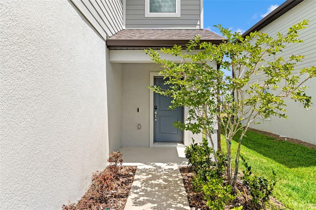 9058 Rally Spring Loop Wesley Chapel, FL 33545 - Photo 7 of 53