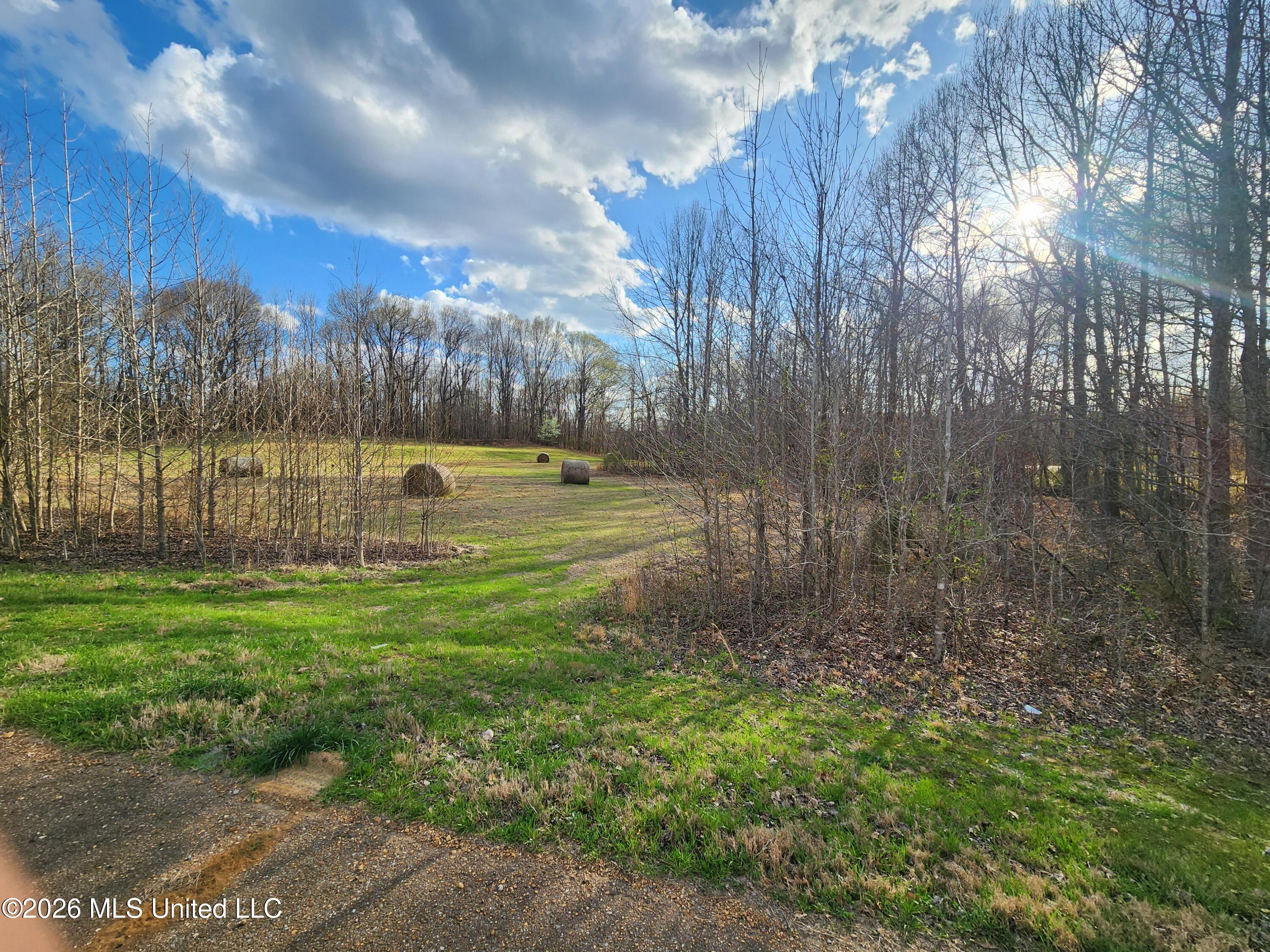 Aaron Road Sarah, MS 38665 - Photo 2 of 9 20260306_161622