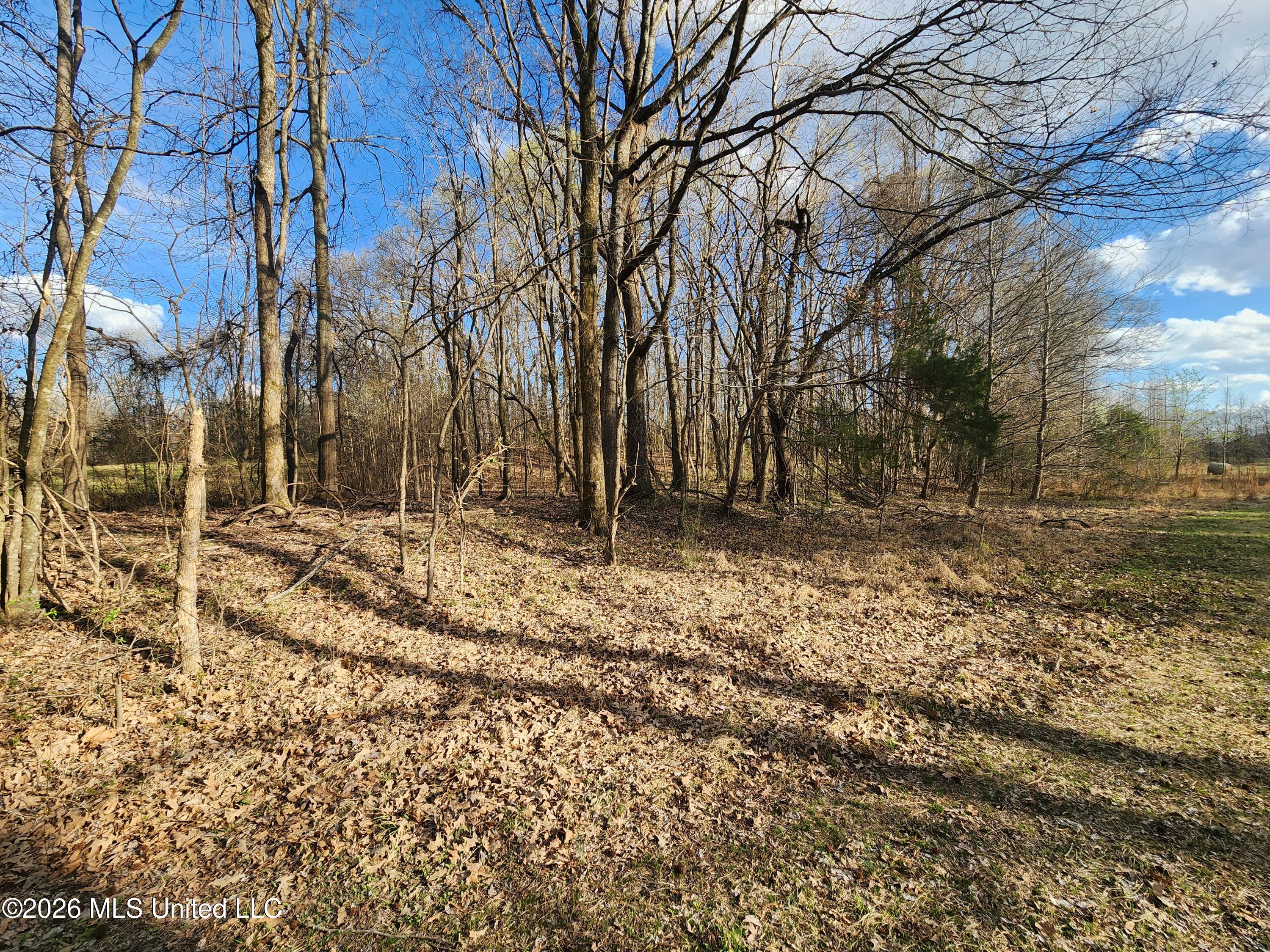 Aaron Road Sarah, MS 38665 - Photo 3 of 9 20260306_161904