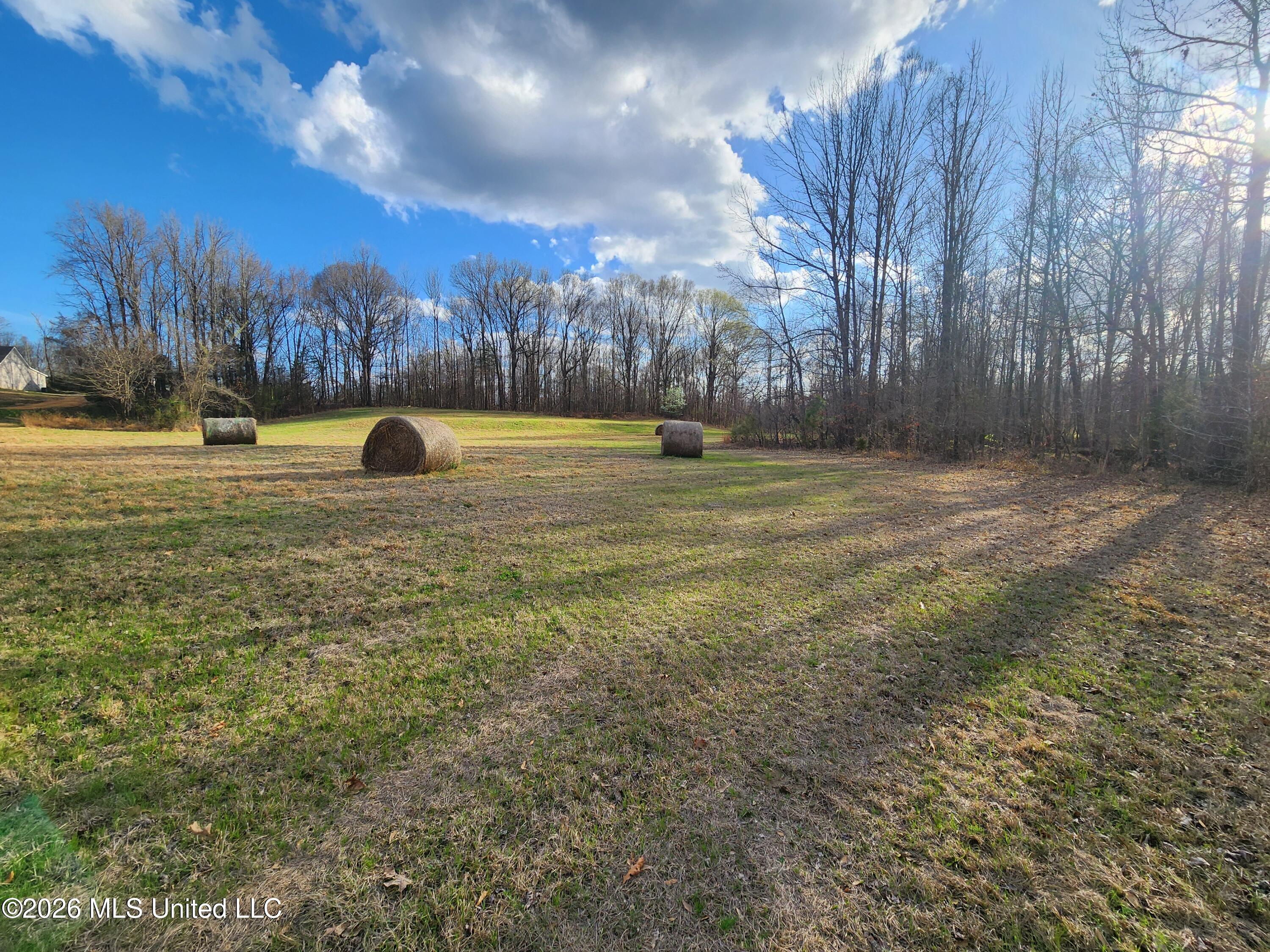 Aaron Road Sarah, MS 38665 - Photo 5 of 9 20260306_161644