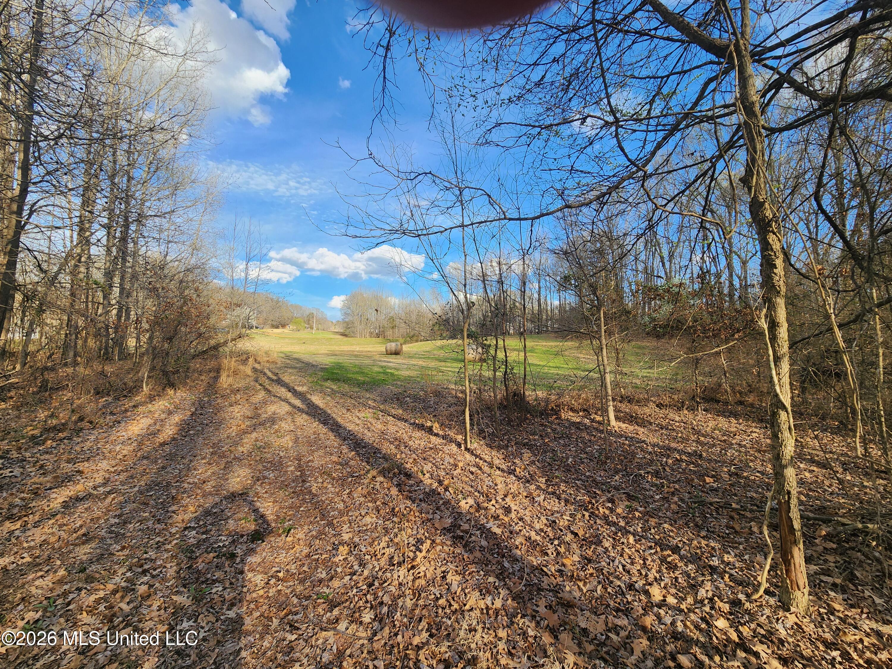 Aaron Road Sarah, MS 38665 - Photo 6 of 9 20260306_161925