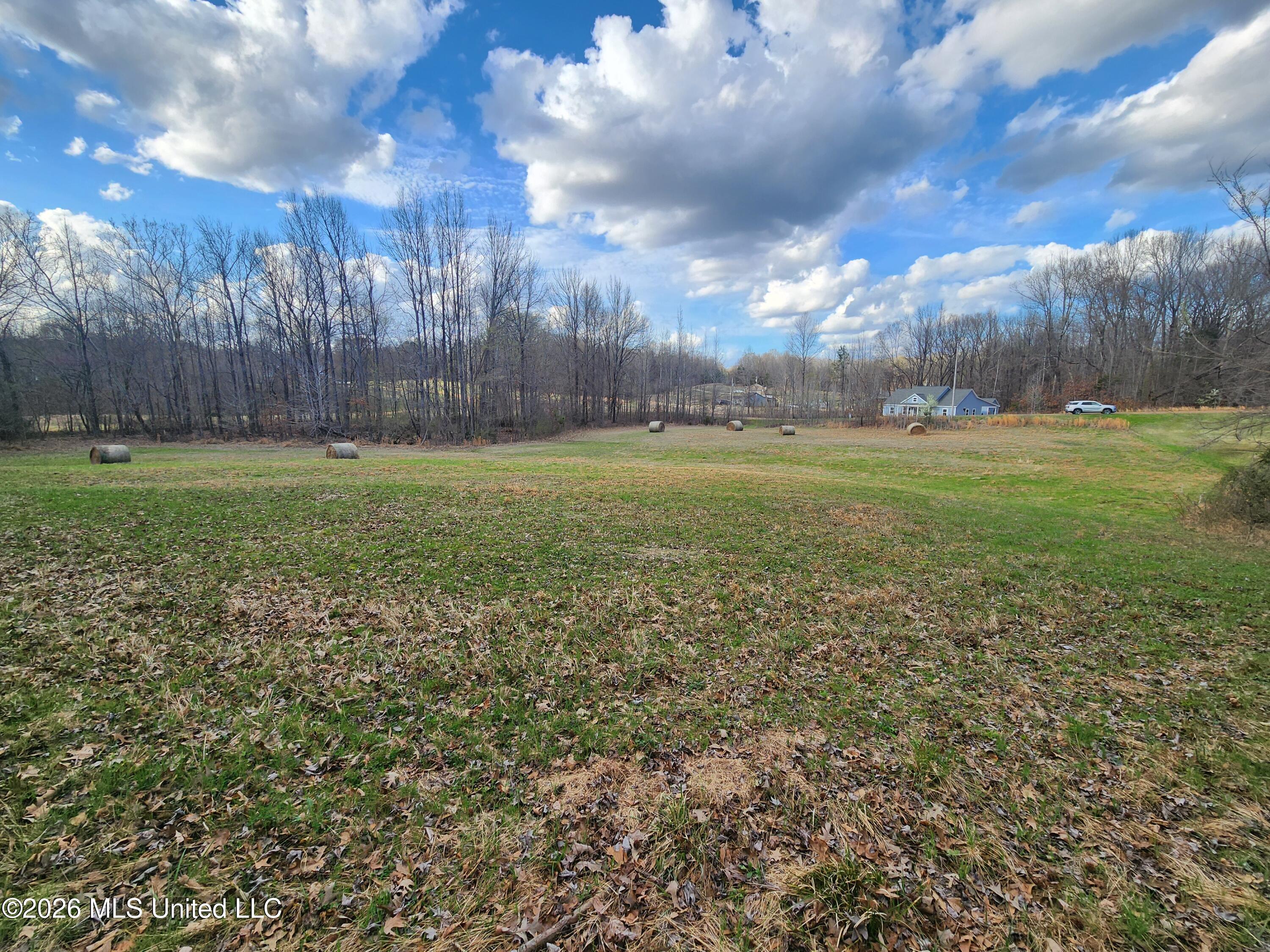 Aaron Road Sarah, MS 38665 - Photo 7 of 9 20260306_162038