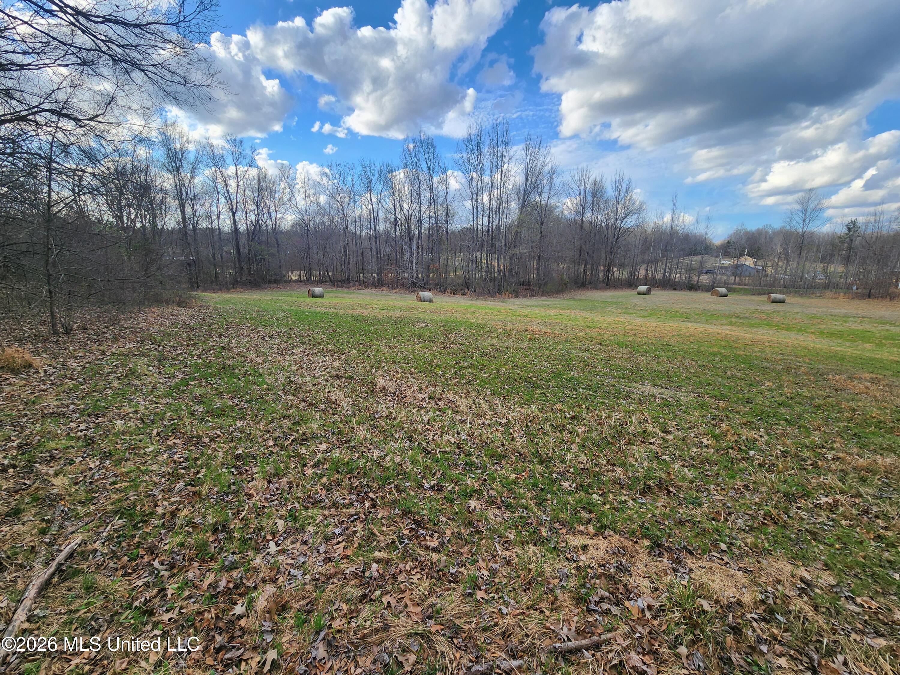 Aaron Road Sarah, MS 38665 - Photo 8 of 9 20260306_162048