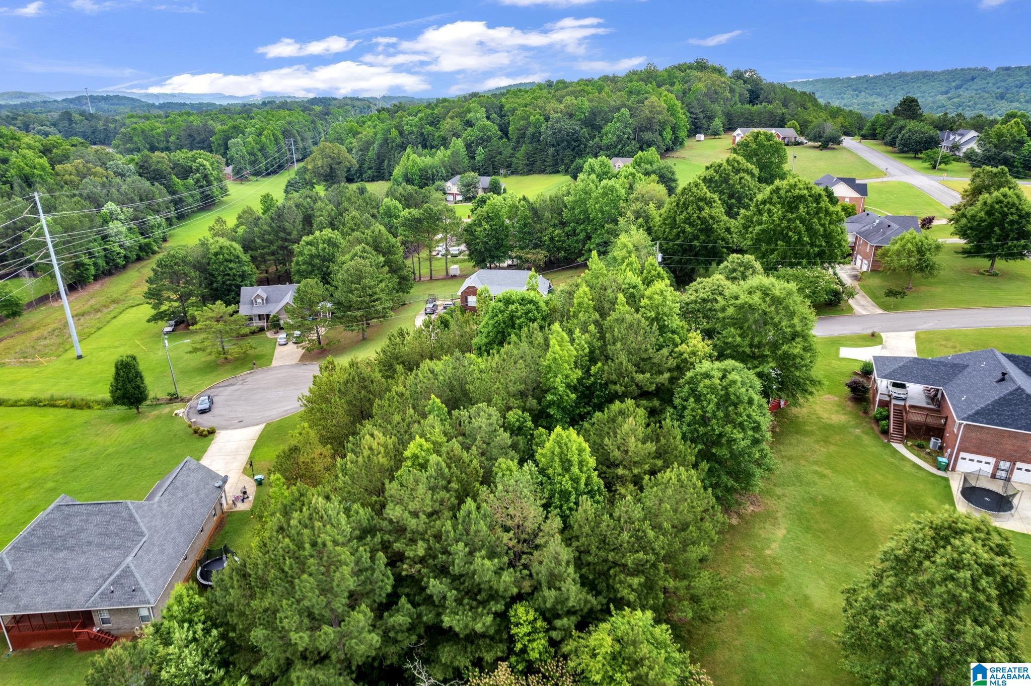 0 Valley View Lane, Unit 1 Oneonta, AL 35121 - Photo 4 of 13