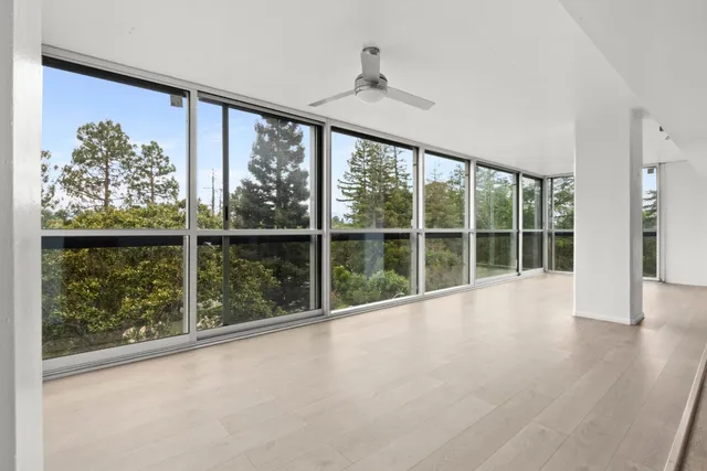 a view of a garden from a windows room
