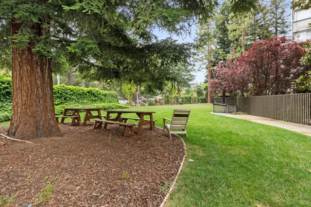 a view of a backyard with table and chairs and a large tree