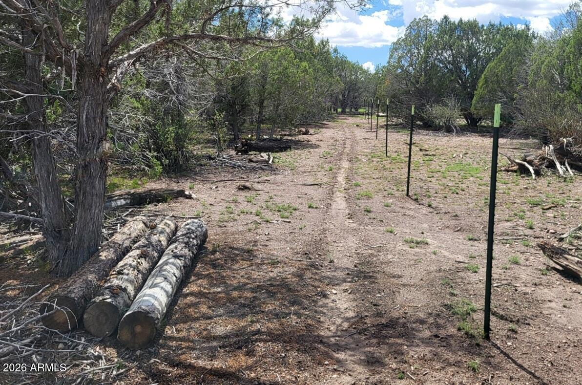 111 North Ranch Road, Unit 111 Williams, AZ 86046 - Photo 9 of 20 bee92d72-a238-45ce-bb05-4030a56b393f