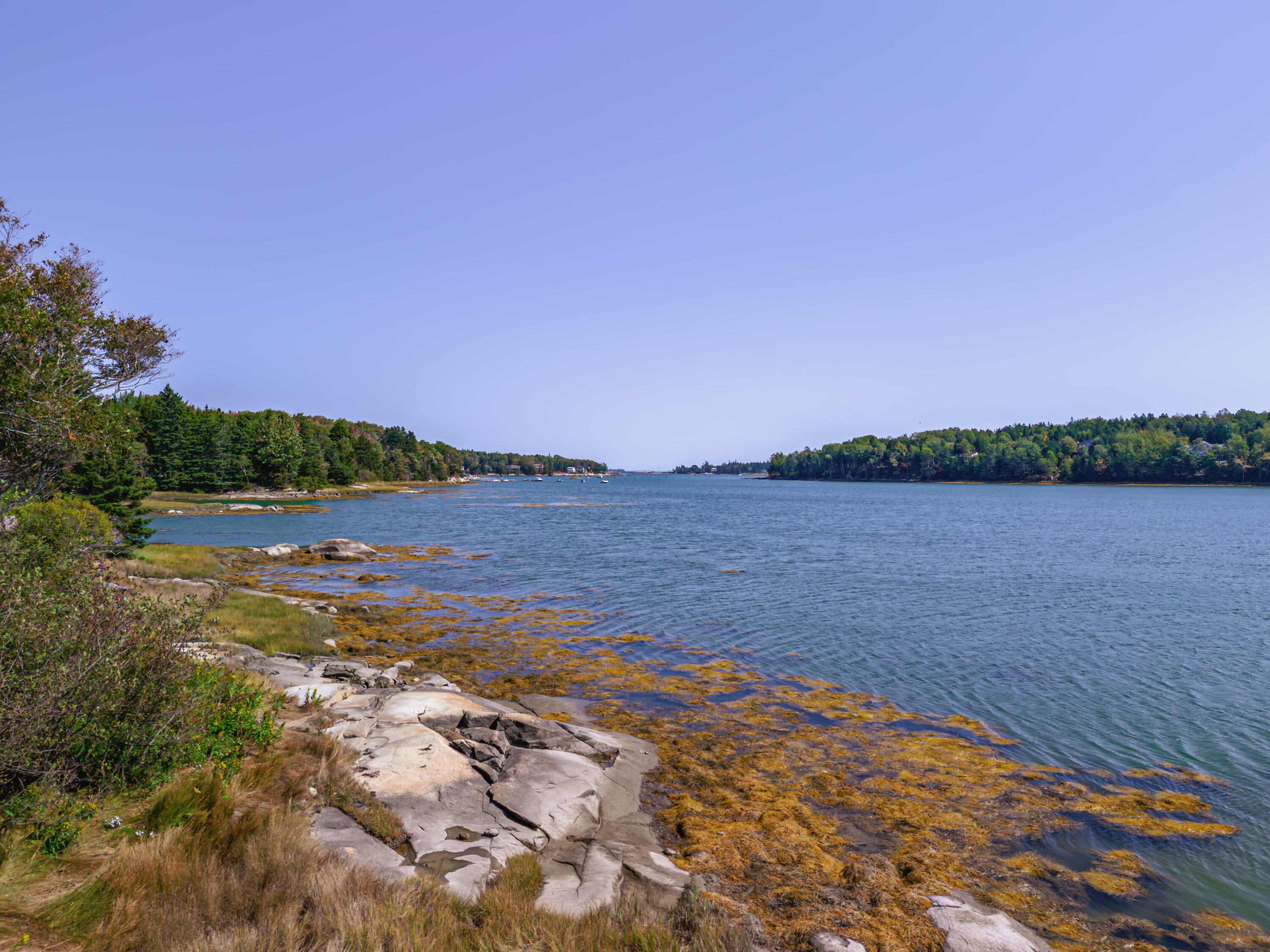 232 Atlantic Quarry Road Spruce Head, ME 04859 - Photo 3 of 59 DJI_20240916120541_0029_D-Enhanced-NR