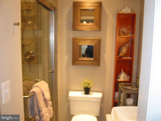 11424 Hollow Timber Court Reston, VA 20194 - Photo 14 of 19 Amazing Bath in the Downstairs area