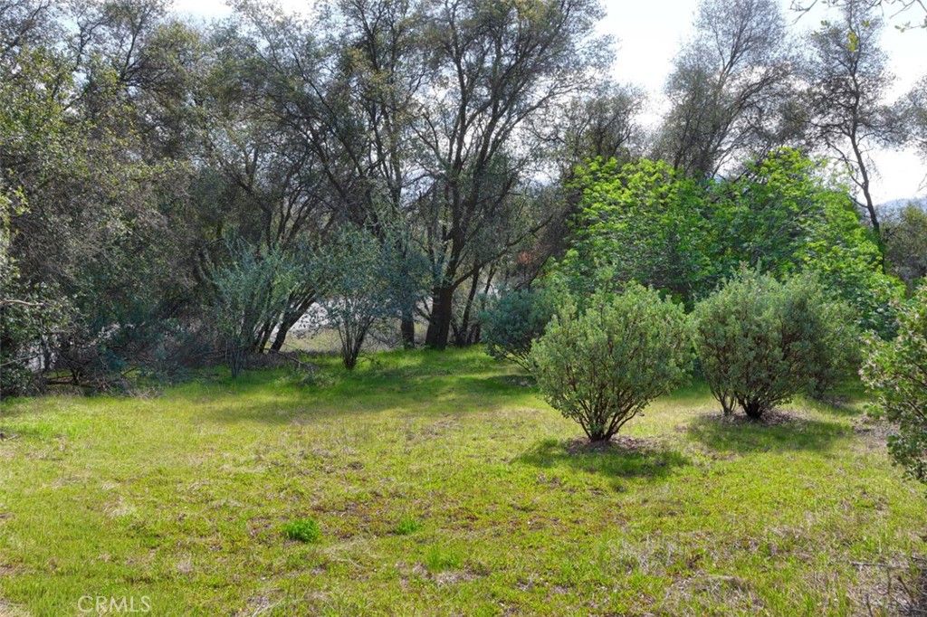 -6.23 Ac Knickerbocker Road Ahwahnee, CA 93601 - Photo 12 of 31 a small garden covered with tall trees