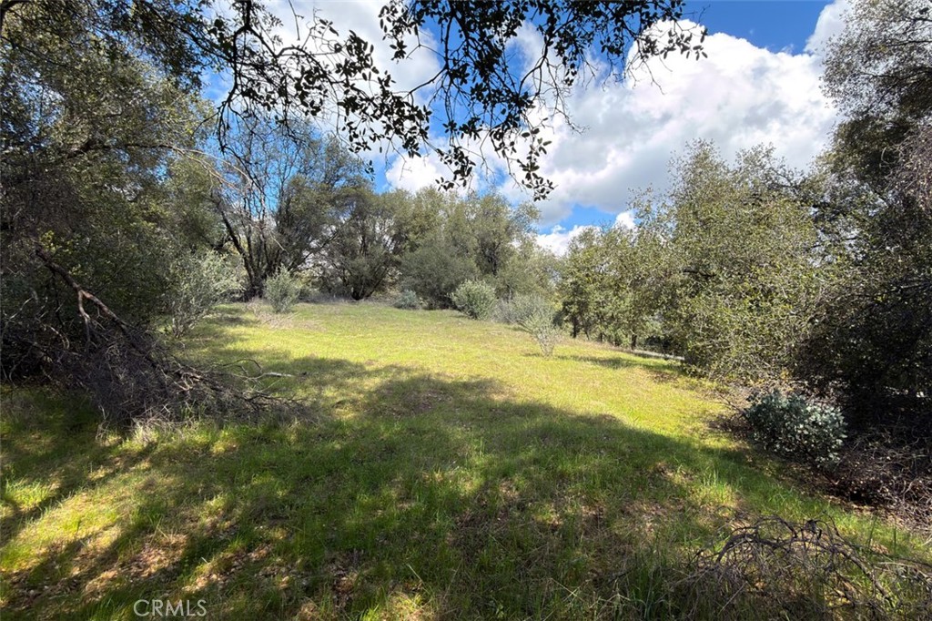 -6.23 Ac Knickerbocker Road Ahwahnee, CA 93601 - Photo 14 of 31 a view of a yard with swimming pool