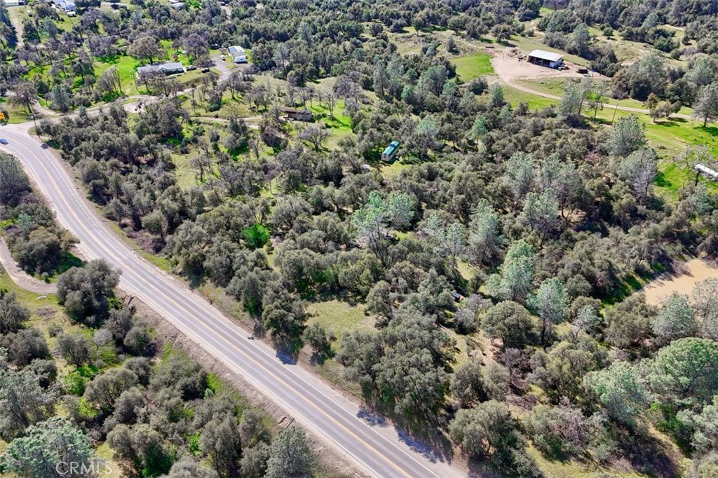 -6.23 Ac Knickerbocker Road Ahwahnee, CA 93601 - Photo 26 of 31 a view of a garden with an outdoor space