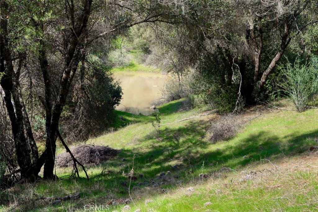 -6.23 Ac Knickerbocker Road Ahwahnee, CA 93601 - Photo 4 of 31 a view of a yard in a yard