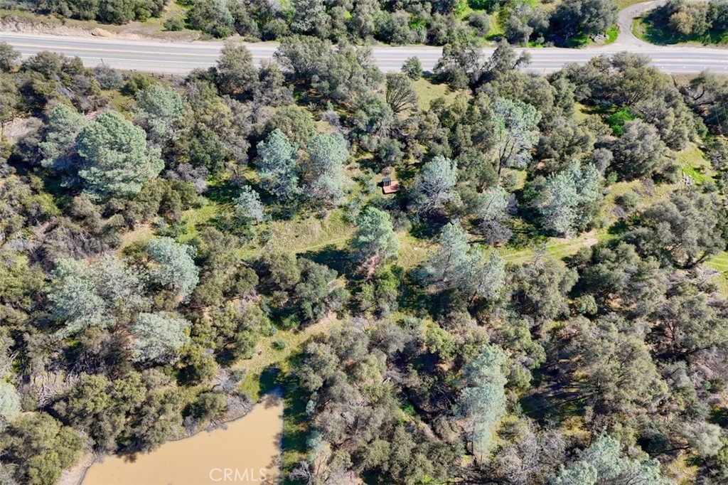 -6.23 Ac Knickerbocker Road Ahwahnee, CA 93601 - Photo 6 of 31 a view of a forest with a tree