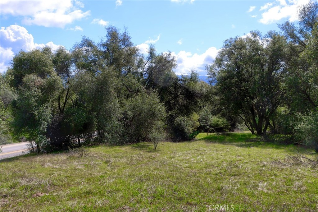 -6.23 Ac Knickerbocker Road Ahwahnee, CA 93601 - Photo 9 of 31 a view of outdoor space and yard
