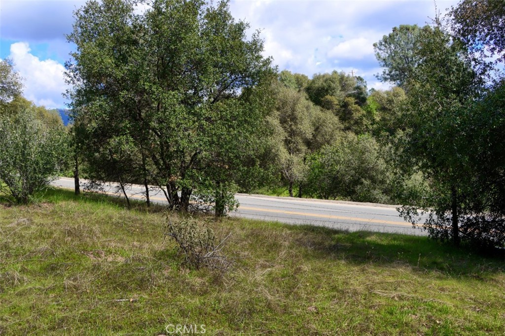 -6.23 Ac Knickerbocker Road Ahwahnee, CA 93601 - Photo 10 of 31 a view of a yard with a tree