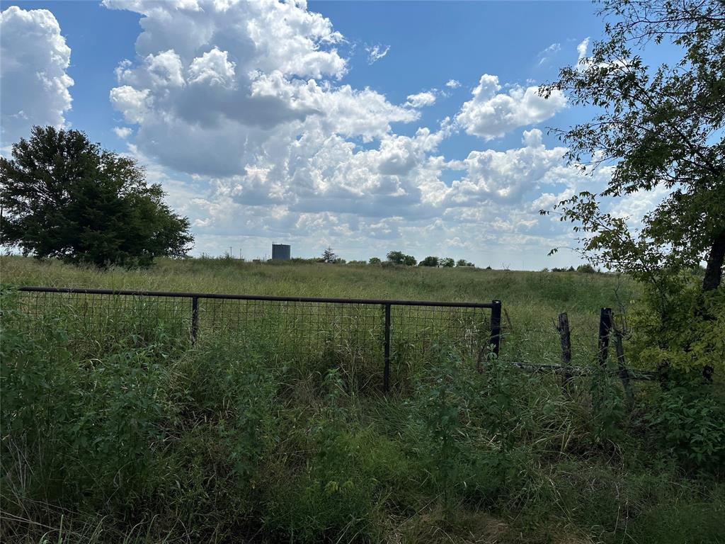 Lot 5 Rutledge Road Whitewright, TX 75491 - Photo 3 of 9 View of yard with a view of rural / pastoral area