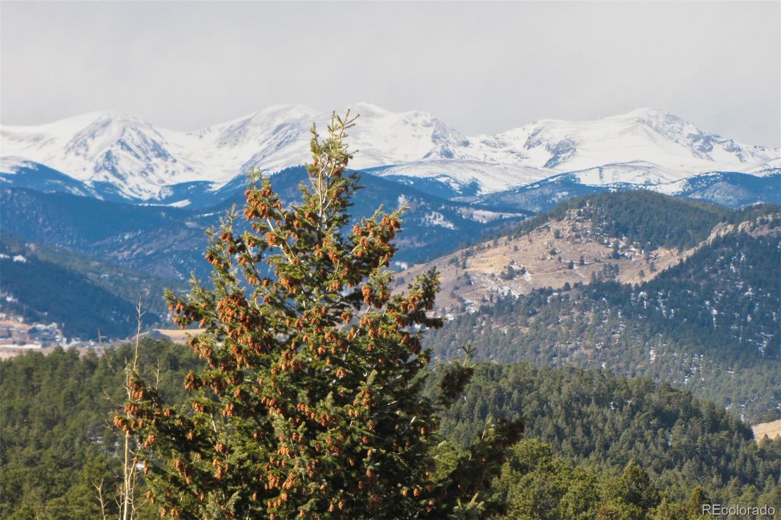 1044 Nob Hill Road Evergreen, CO 80439 - Photo 30 of 34