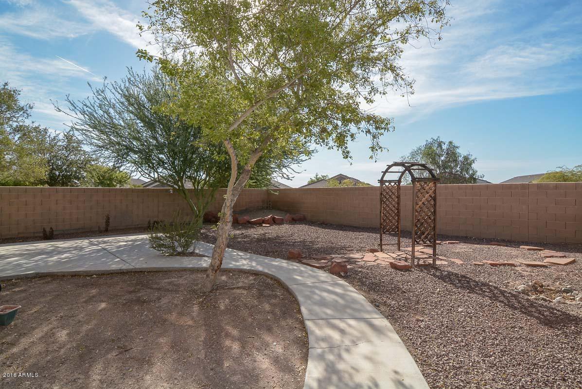 11927 West Dos Rios Drive Sun City, AZ 85373 - Photo 12 of 31 Backyard