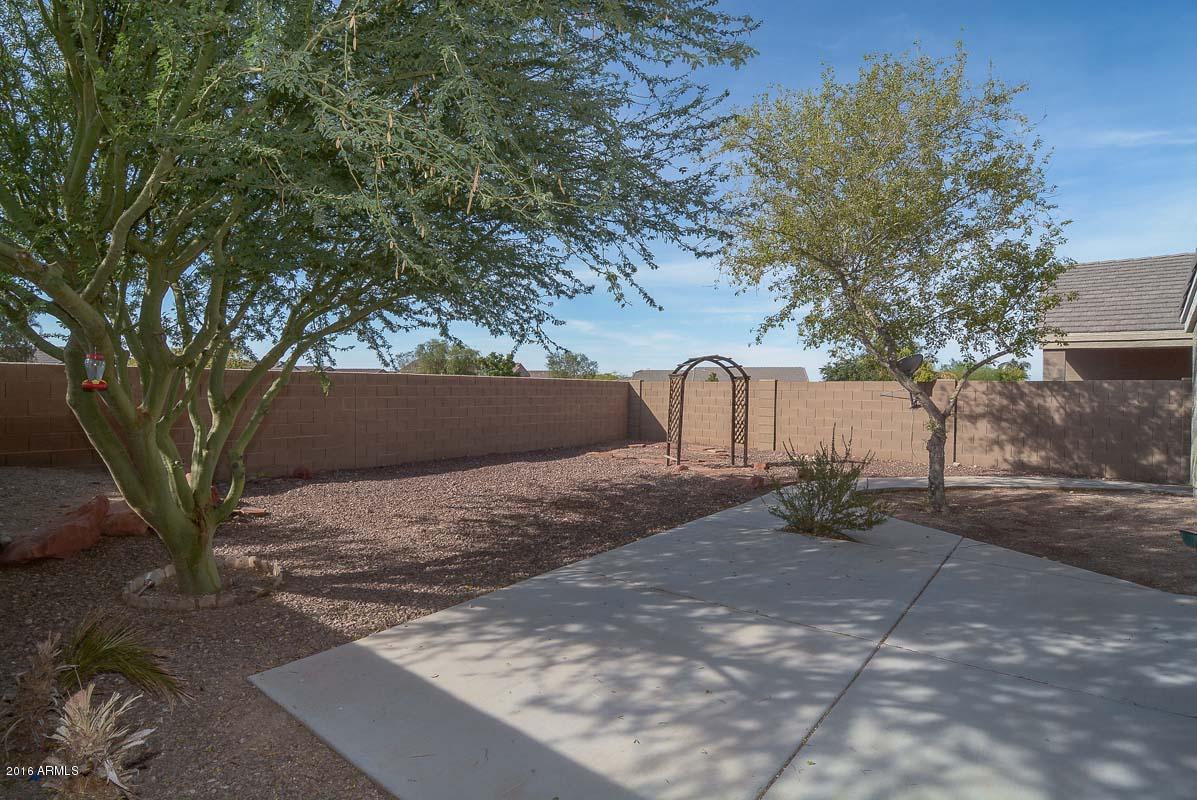 11927 West Dos Rios Drive Sun City, AZ 85373 - Photo 13 of 31 Backyard2