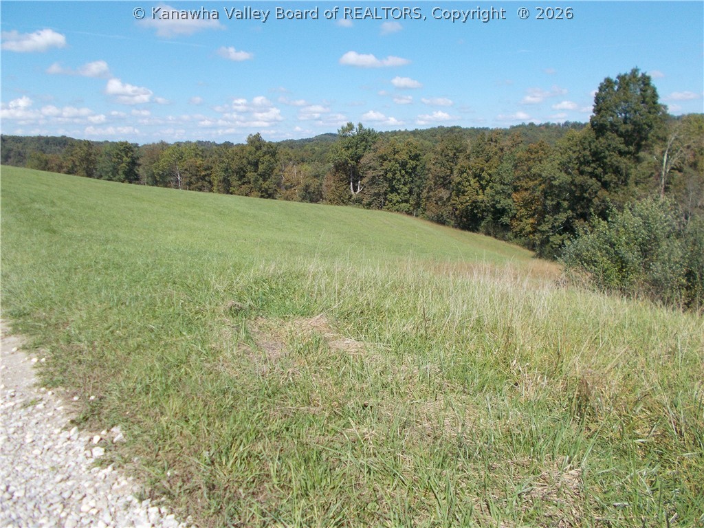0 Mud Lick Road Liberty, WV 25124 - Photo 11 of 30 Gallery Image 11