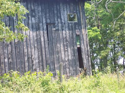 1874 Two Lick Road Cynthiana, KY 41031 - Photo 9 of 11 Photo 9