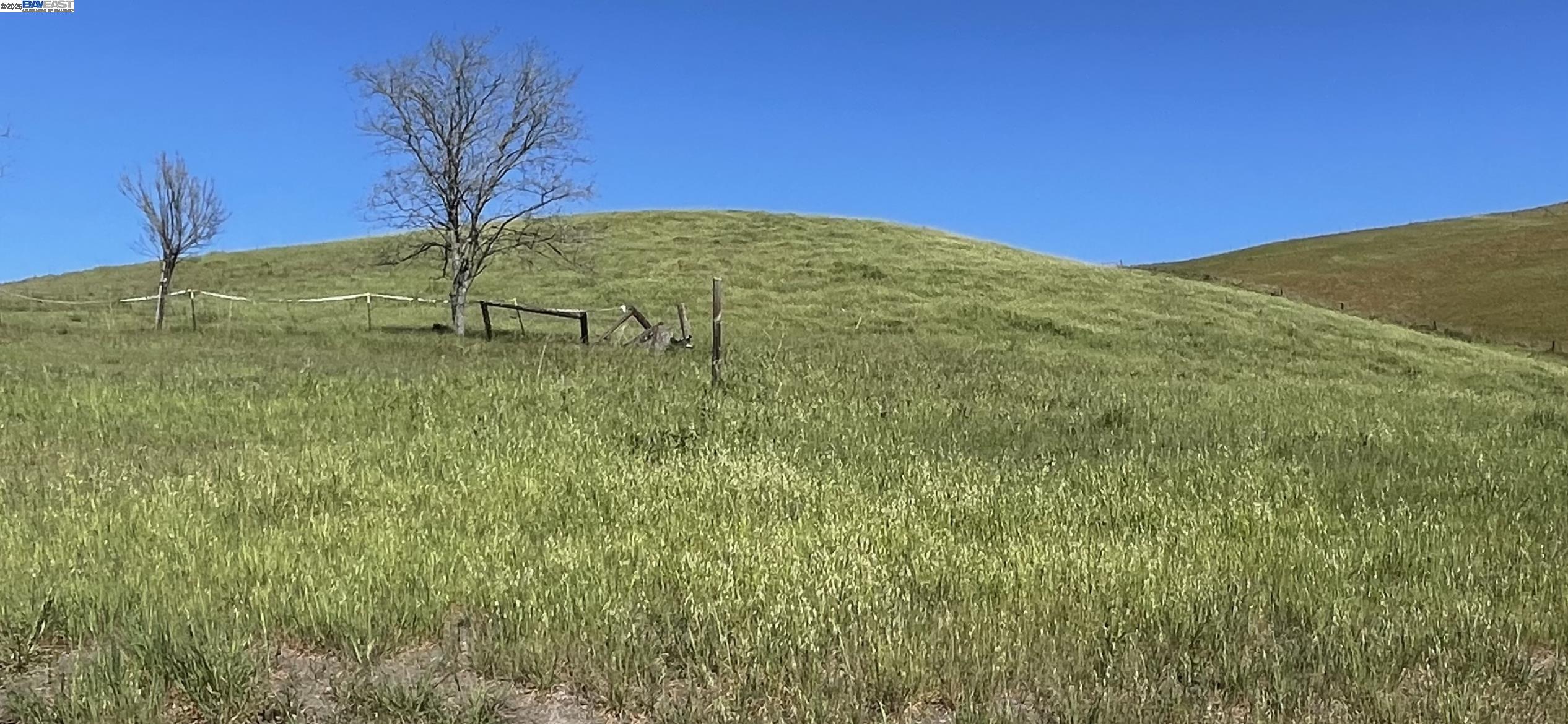 3343 Little Valley Road Sunol, CA 94586 - Photo 23 of 23 a view of a yard