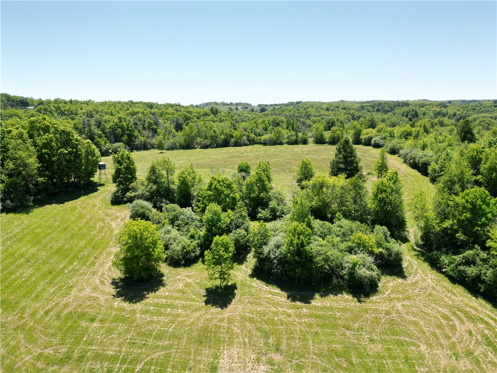 5087 Hagerty Road Middlesex, NY 14507 - Photo 4 of 37